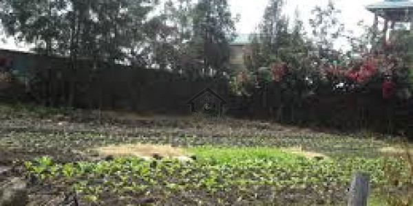 5 Marla Facing Park AA Block Bahria Town Lahore