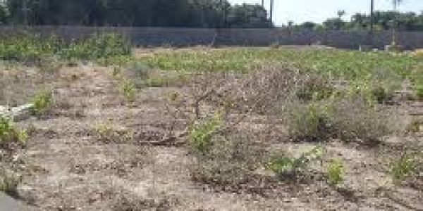 Residential Plot Available For Sale