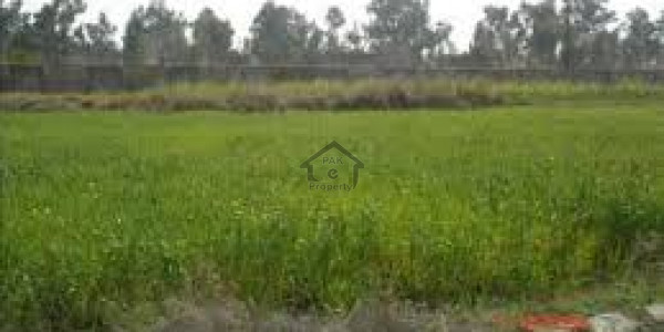 5 Kanal Develop Farm House Plot Available For Sale