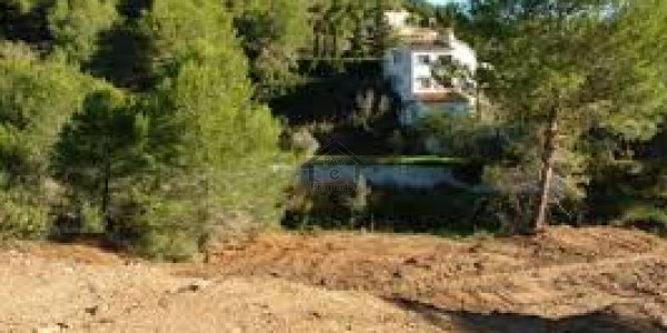 P & D Specialist 8 Marla Plot For Sale In B1 Block Near Canal Road