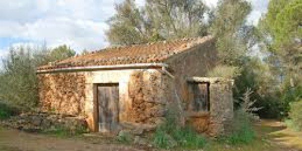 Iqbal Avenue Ph 3 Specialist 1 Kanal Plot For Sale B Block Very Near Canal Road Thokar Niaz Baig