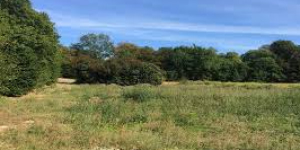 250 Squaer Yard Residential Plot For Sale