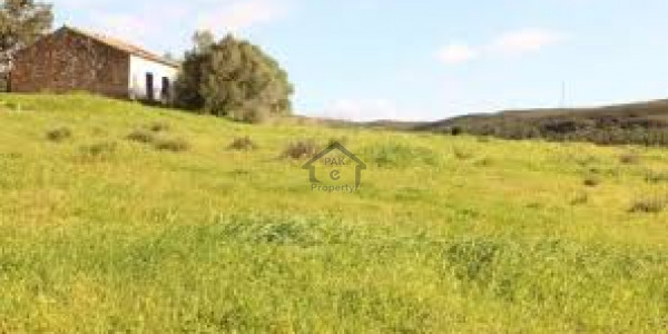 250 Square Yard Residential Plot For Sale In Precinct 1