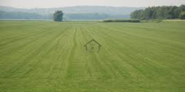 Residential Plot is Available for Sale