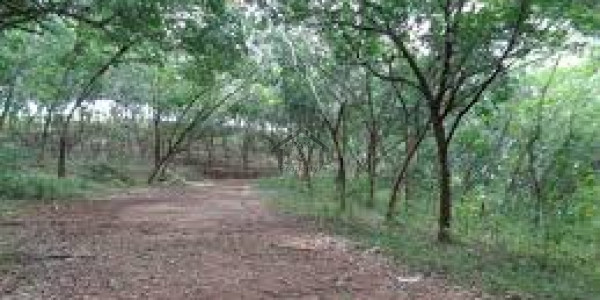 Residential Plot is Available for Sale