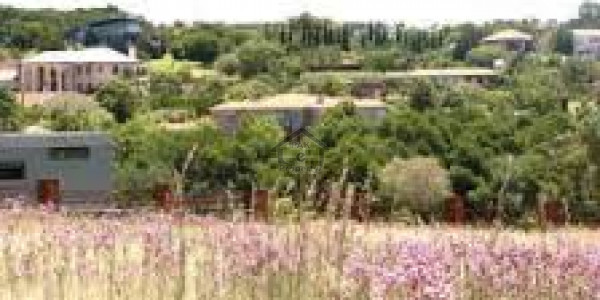 125 Sq.yard Plot For Sale Best Location Good Time For Investment