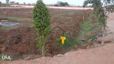 Residential Plot Is Available For Sale