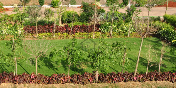 Residential Pair Plot Is Available For Sale