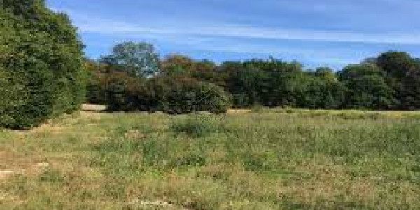 Residential Plot Is Available For Sale
