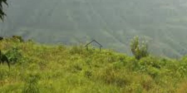 Residential Plot For Sale