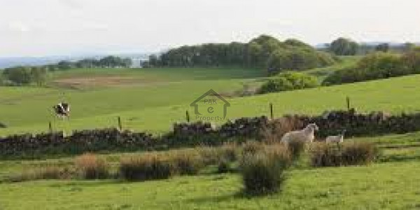 Residential Plot Available For Sale