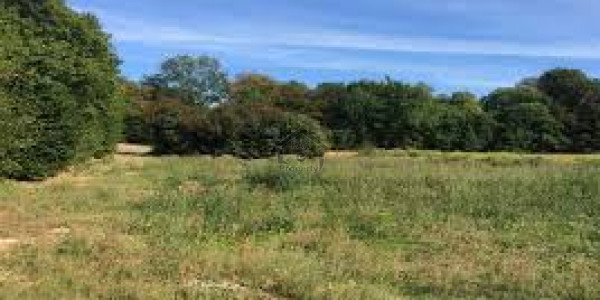 Residential Plot Available For Sale