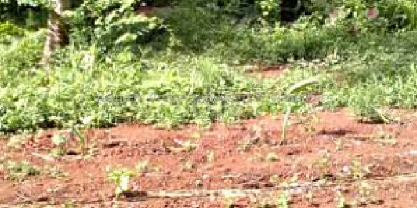 Residential Plot Available For Sale