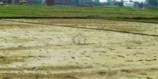 Residential plot Is Available For Sale