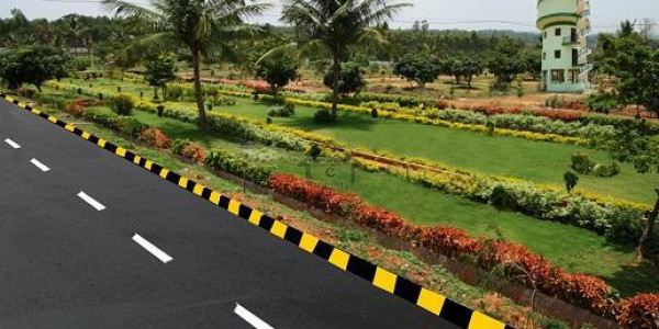 Commercial Plot Is Available For Sale