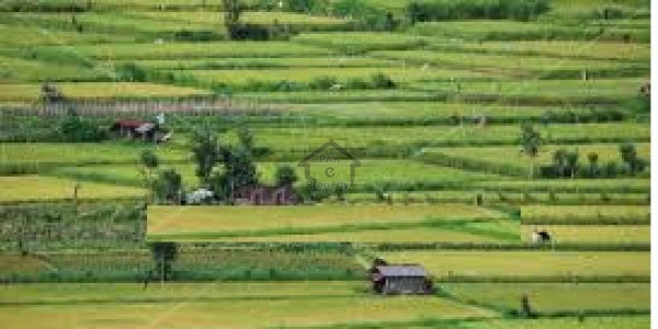 Bahria Orchard Phase 4- 10 marla Residential Plot Is Available For Sale