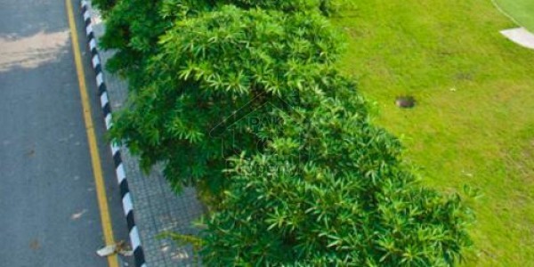 12 Marla Plot in Good Price is available in Gulberg Islamabad