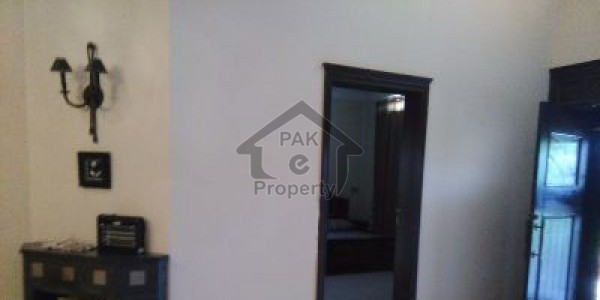 G_9 prime location vip furnish room attach bath only working female