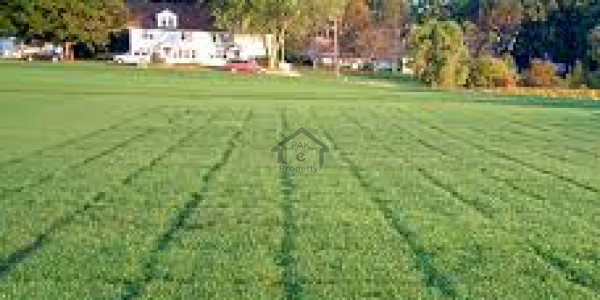 Multan Road-54 Kanal land For Sale