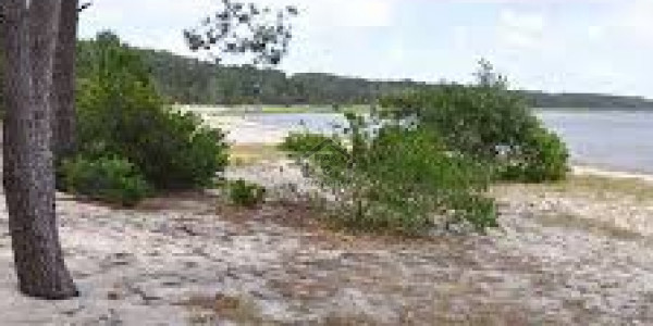 Ferozepur City-10 marla Plot File Is Available For Sale