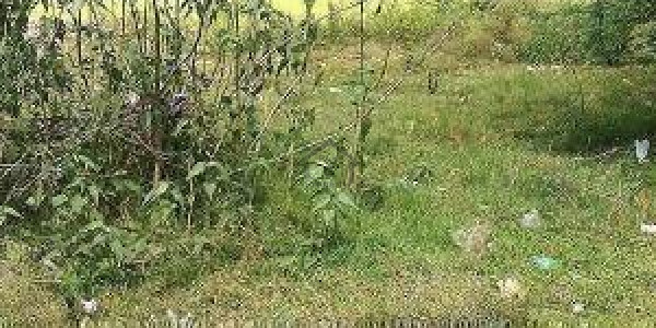 Qasim Garden - 2 Marla Commercial plot Is Available For Sale Very Reasonable Price