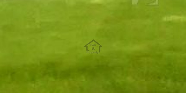 DHA -5 Marla  Plot File Is Available For Sale