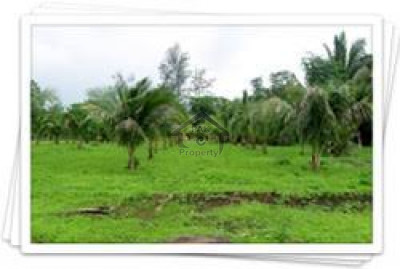 Bedian Road - Vvip Land For Farm House IN LAHORE