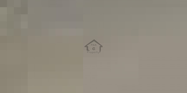 Fully Renovated House Back of Safa Gold Mall F-7 for Rent