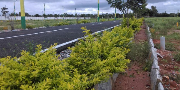 E-17/3 Cdechs 1 Kanal Level Plot On 100 Ft Wide Principal Road With Extra Land And Front Open