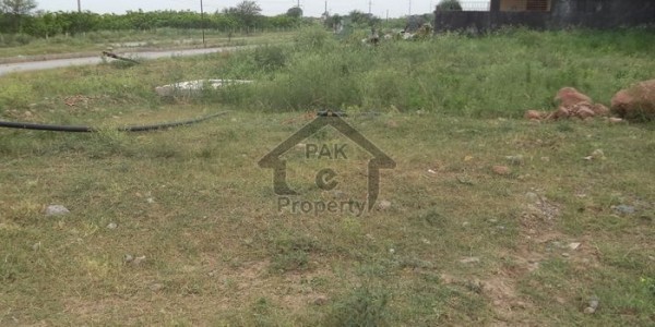 Beautiful Plot Available For Sale In G-14/3 Prime Location