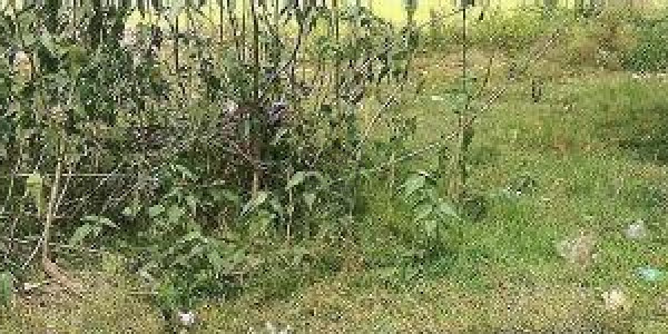 Nasheman-e-Iqbal- 1 Kanal Residential Plot Available For Sale