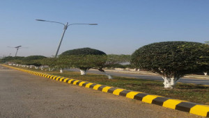 PLOTS WANTED AT ADIALA ROAD RAWALPINDI