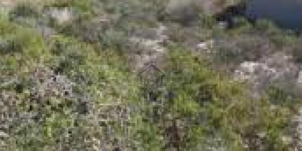 Super Highway-4,000 Sq. Yd.  Areesha Cattle Farm Agricultural Land For Sale