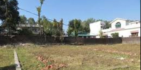 Zaitoon - 5 Marla Plot For Sale In C Block