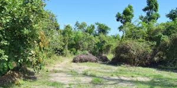 Zaitoon - 10 Marla Plot For Sale