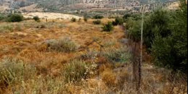 Zaitoon - 5 Marla Plot For Sale In D Block