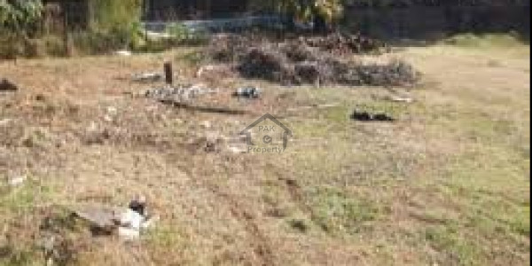 Model City 1-5 Marla Plot Is Available For Sale