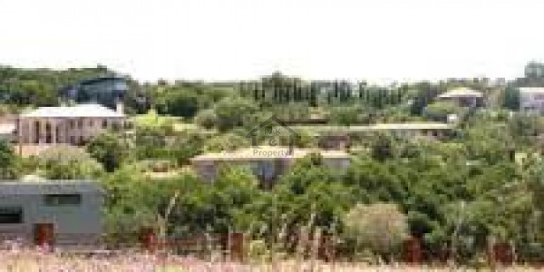 Dha phase 4 block CC-1 kanal plot available for Sale