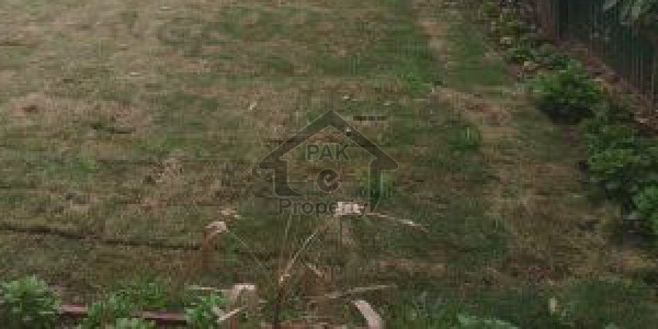 Commercial Plot Is Available For Sale