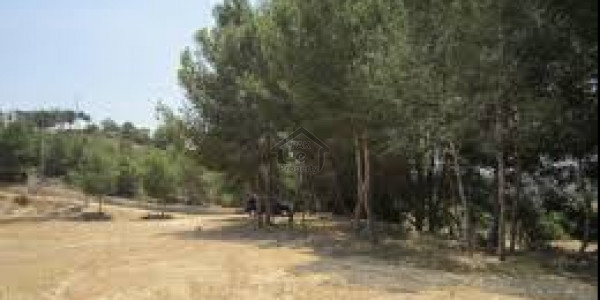 10 Marla Plot For Sale At Prime Location Central Bahria Orchard