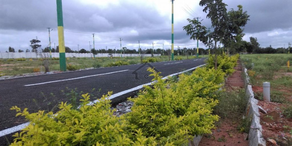 Johar Town Phase 2 - Block Q,Residential Pair Plot Is Available For Sale