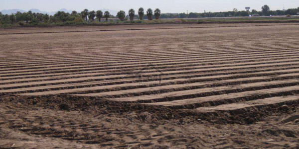 Raiwind Road, Commercial Plot Is Available For Sale