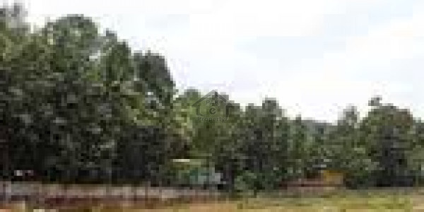 Lake City -7 Marla Facing Park File For Sale