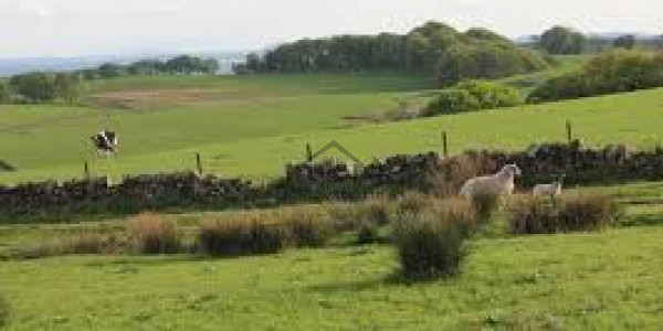 Barki Road, 8 Kanal-Plot Is Available For Sale