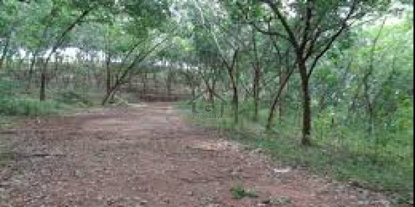 DHA Phase 7 - Block X, Plot No 1422 -2Kanal Good Location