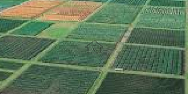 Sahafi Colony - 10 Marla Residential plots for sale