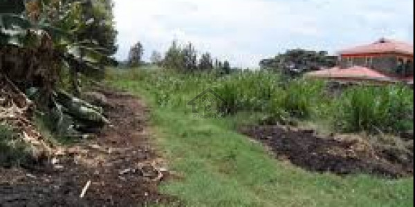 DHA Phase 6 - Block A,11 Marla Residential Lowest Price Plot