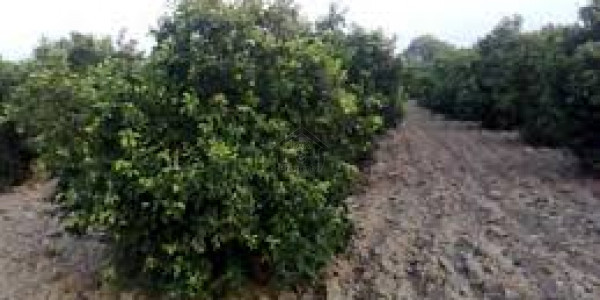 Bahria Farm House - Opportunity For Exclusive Luxury Farmhouse Plot At Reasonable Price IN Bahria Town Karachi