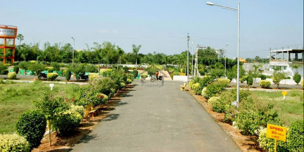 PCSIR Staff Colony,  Plot Is Available For Sale