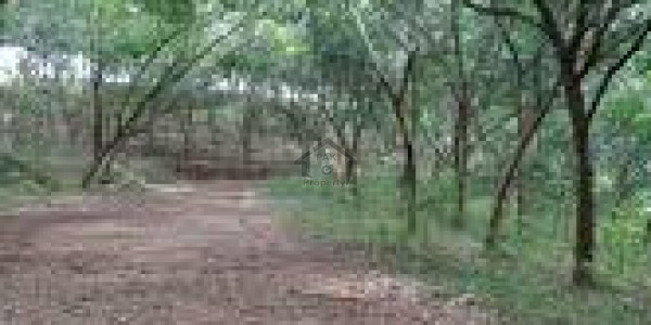 GT Road - 5 Marla Residential Plot For Sale